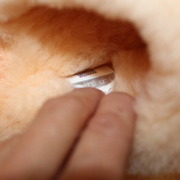 NEW UGG WOMEN'S PEACH SUEDE SHEARLING LINED SLIP ON SCUFF SLIPPERS PEACH - Picture 8 of 8